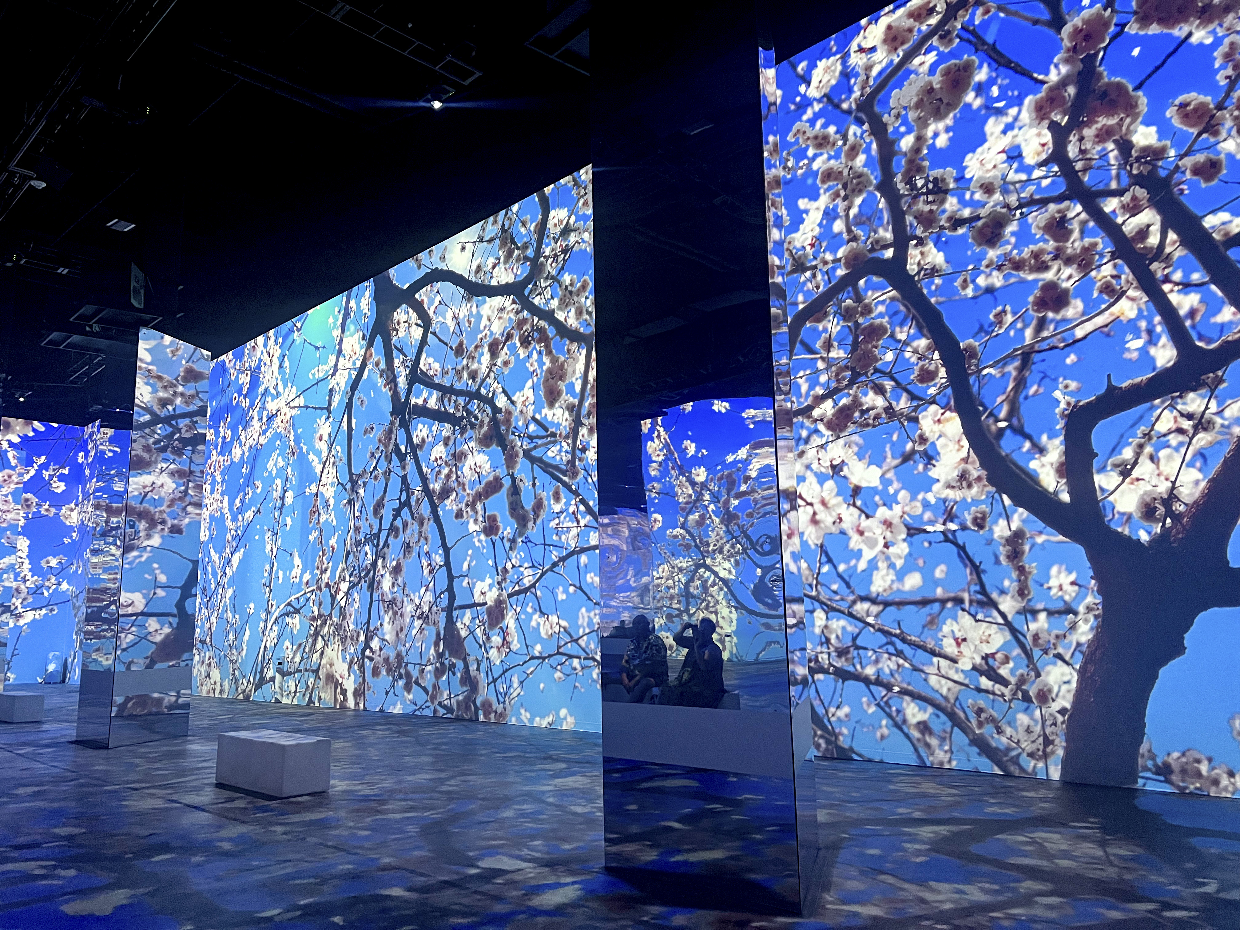 Exploring Color and Emotion: The Immersive Van Gogh Exhibition