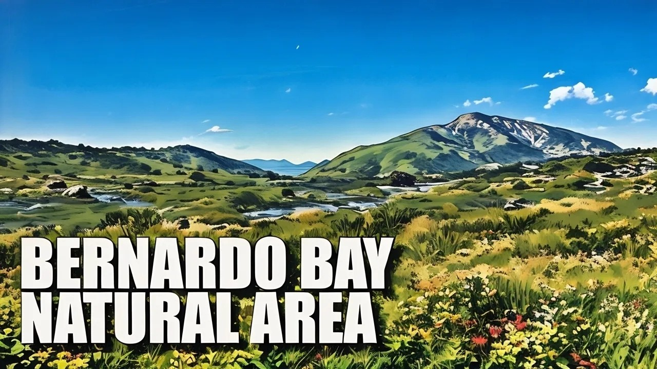 Hiking in Bernardo Bay Natural Area | San Dieguito River Park | San Diego