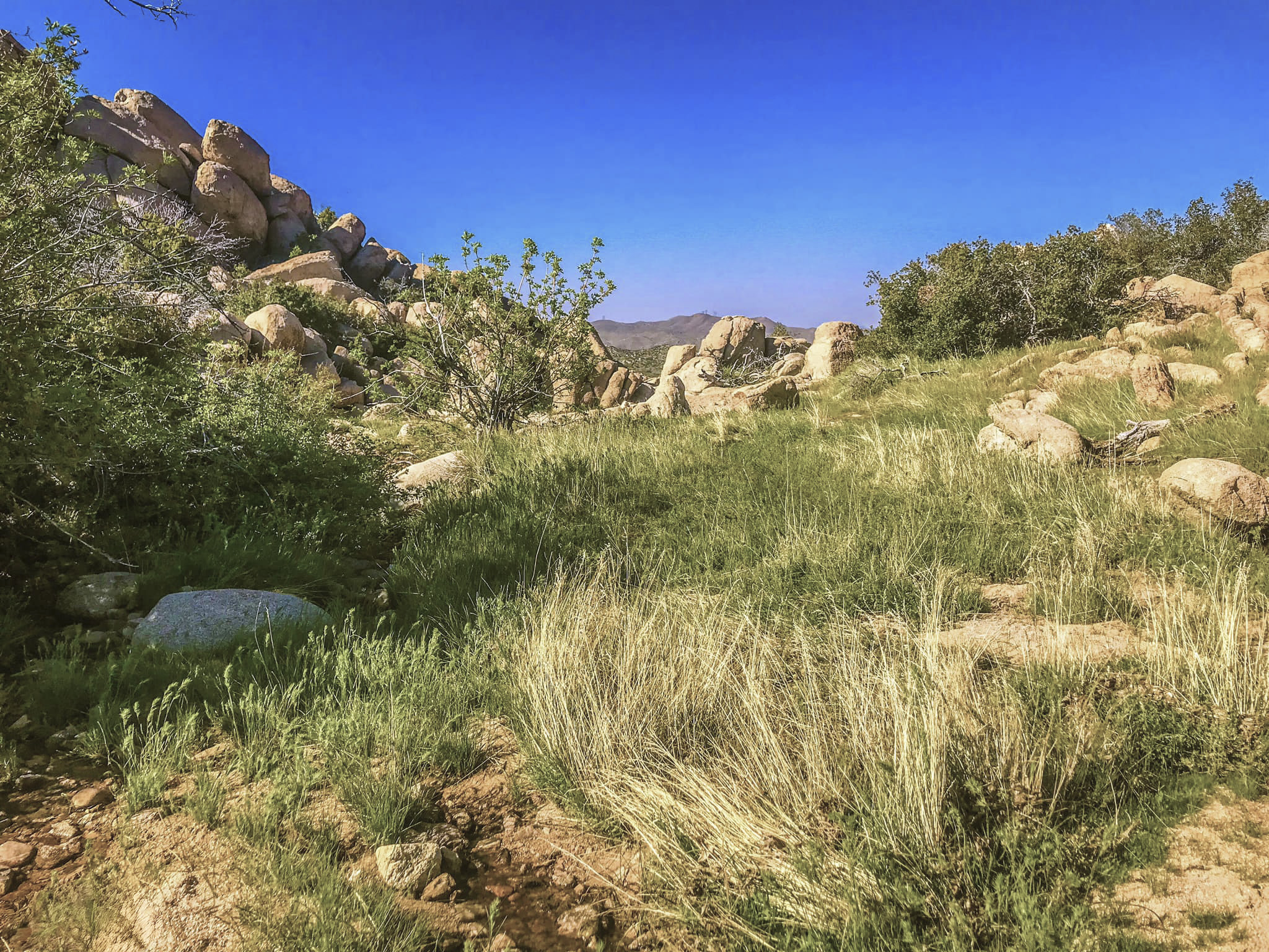 The Rocky Pinnacles Near Lake Arrowhead | California