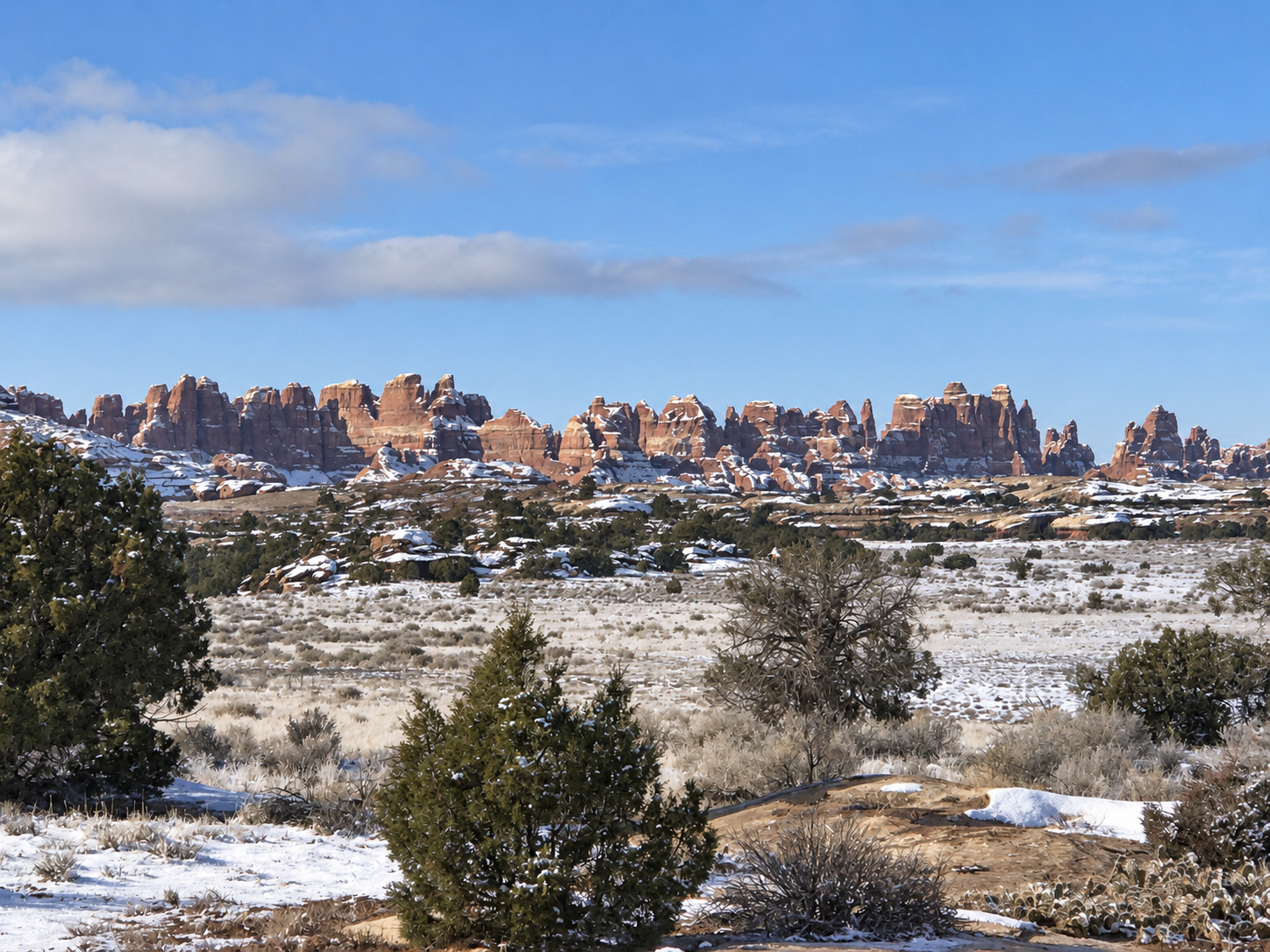 Beyond the Spires: The Living Desert of the Needles | Canyonlands National Park