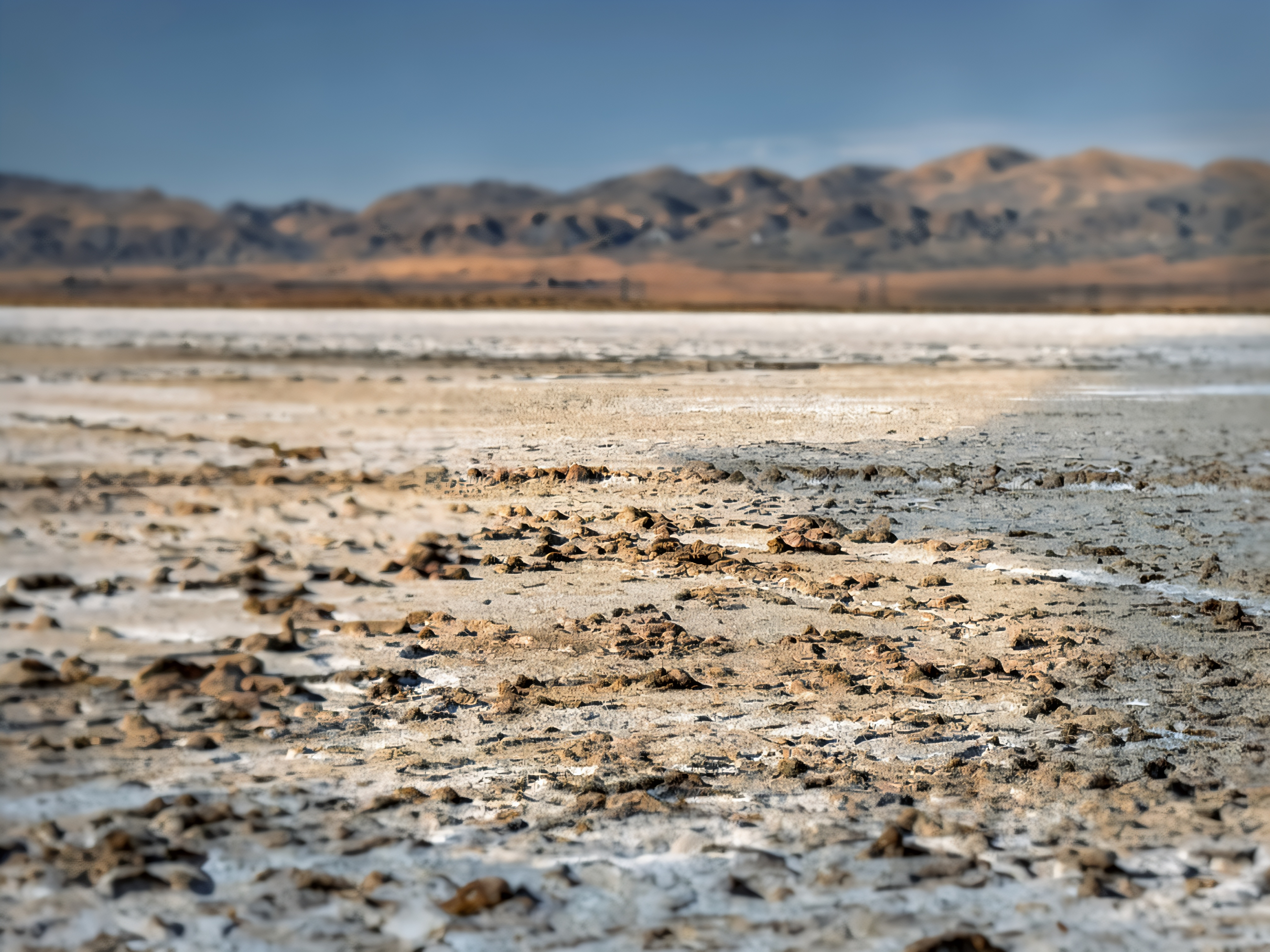 Soda Lake: The Salty Heart of Carrizo Plain