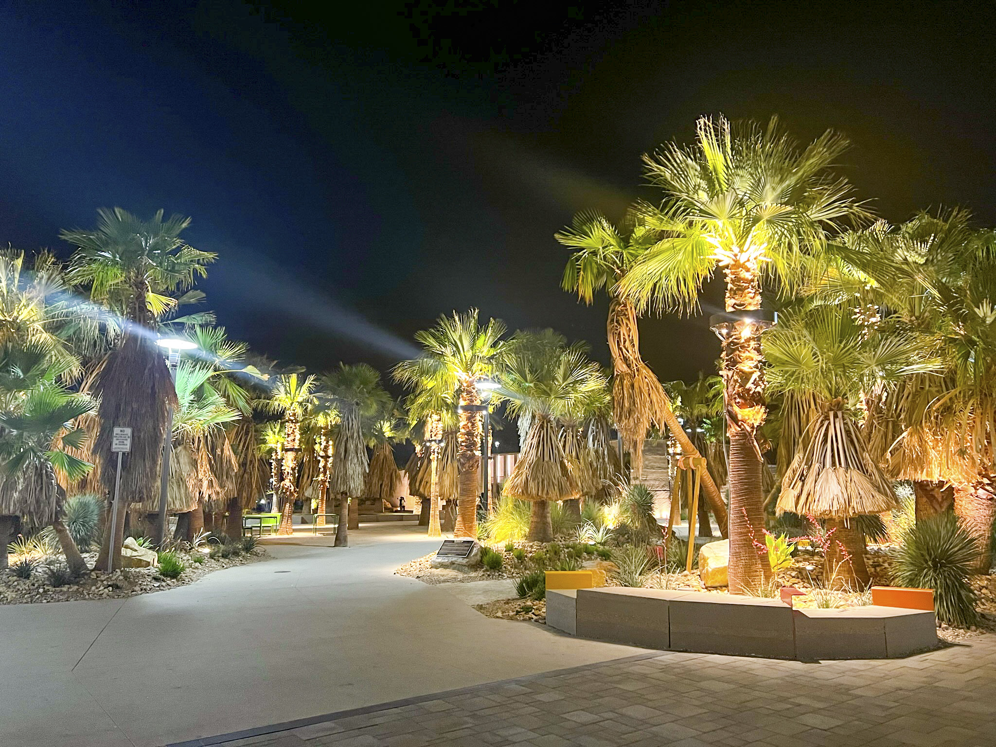 Palm Springs After Dark: A Desert Oasis Comes Alive