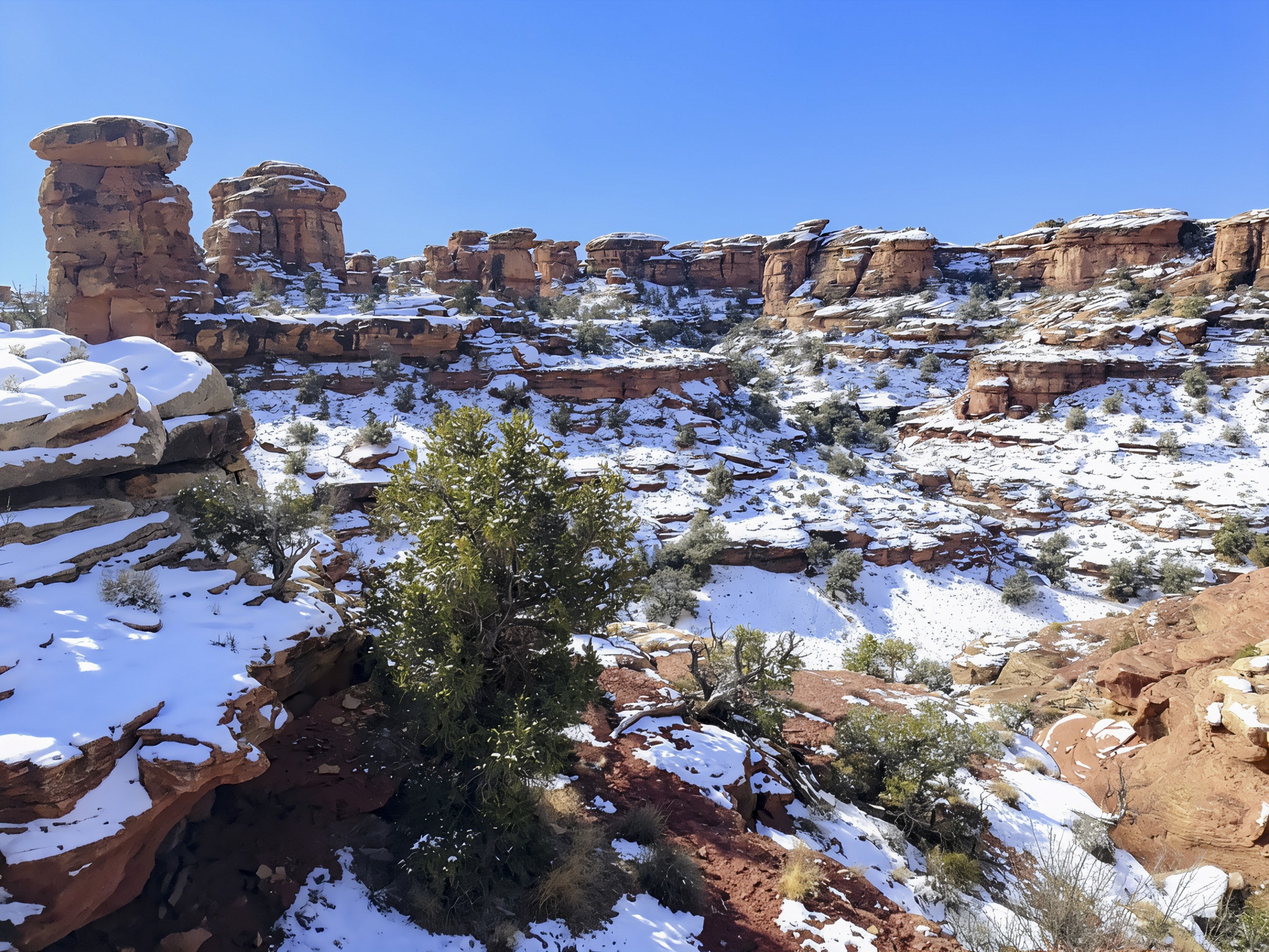 Big Spring Canyon Overlook: Sandstone Towers of the Needles District | Canyonlands National Park