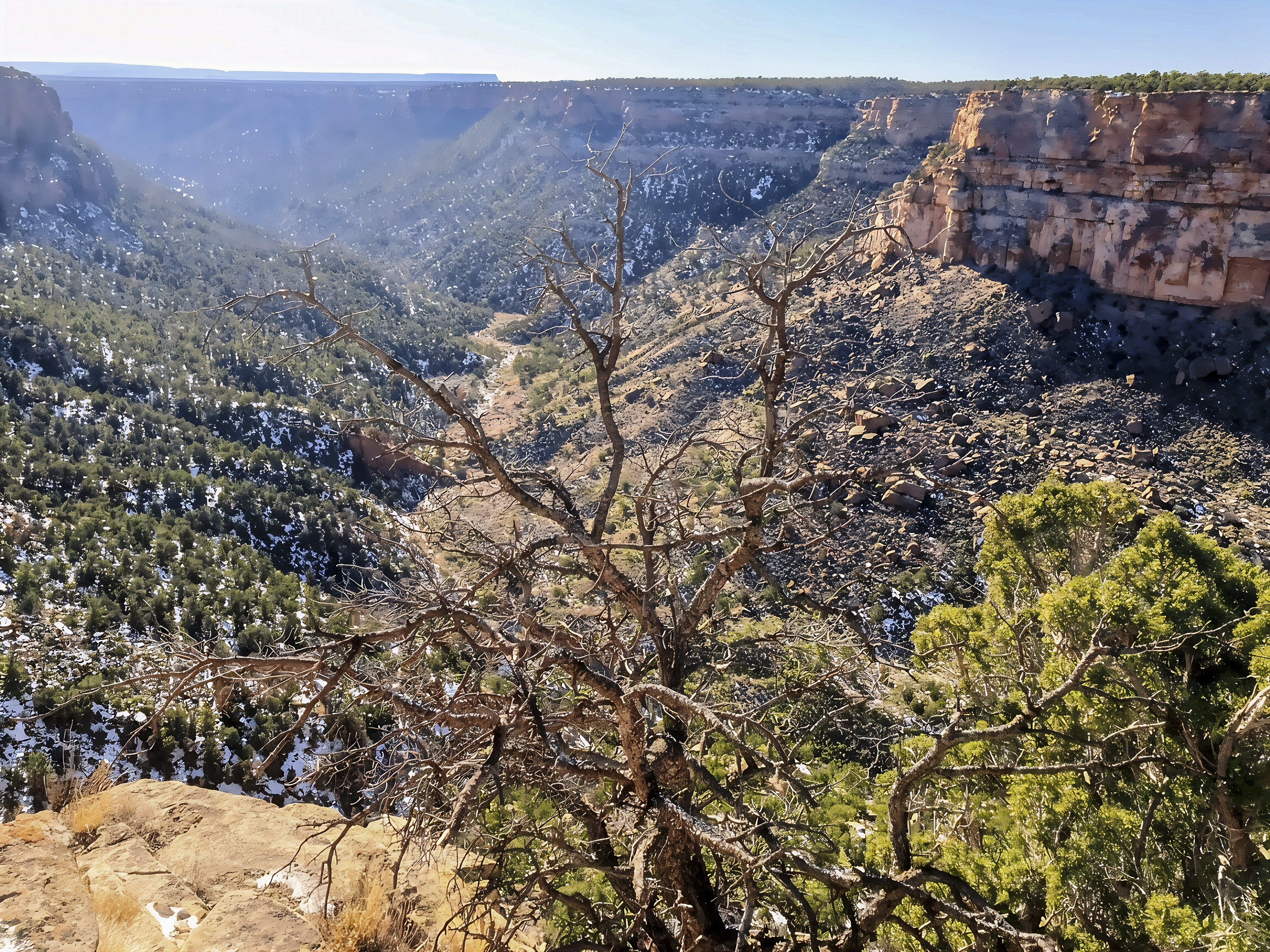 Exploring Navajo Canyon in Mesa Verde National Park