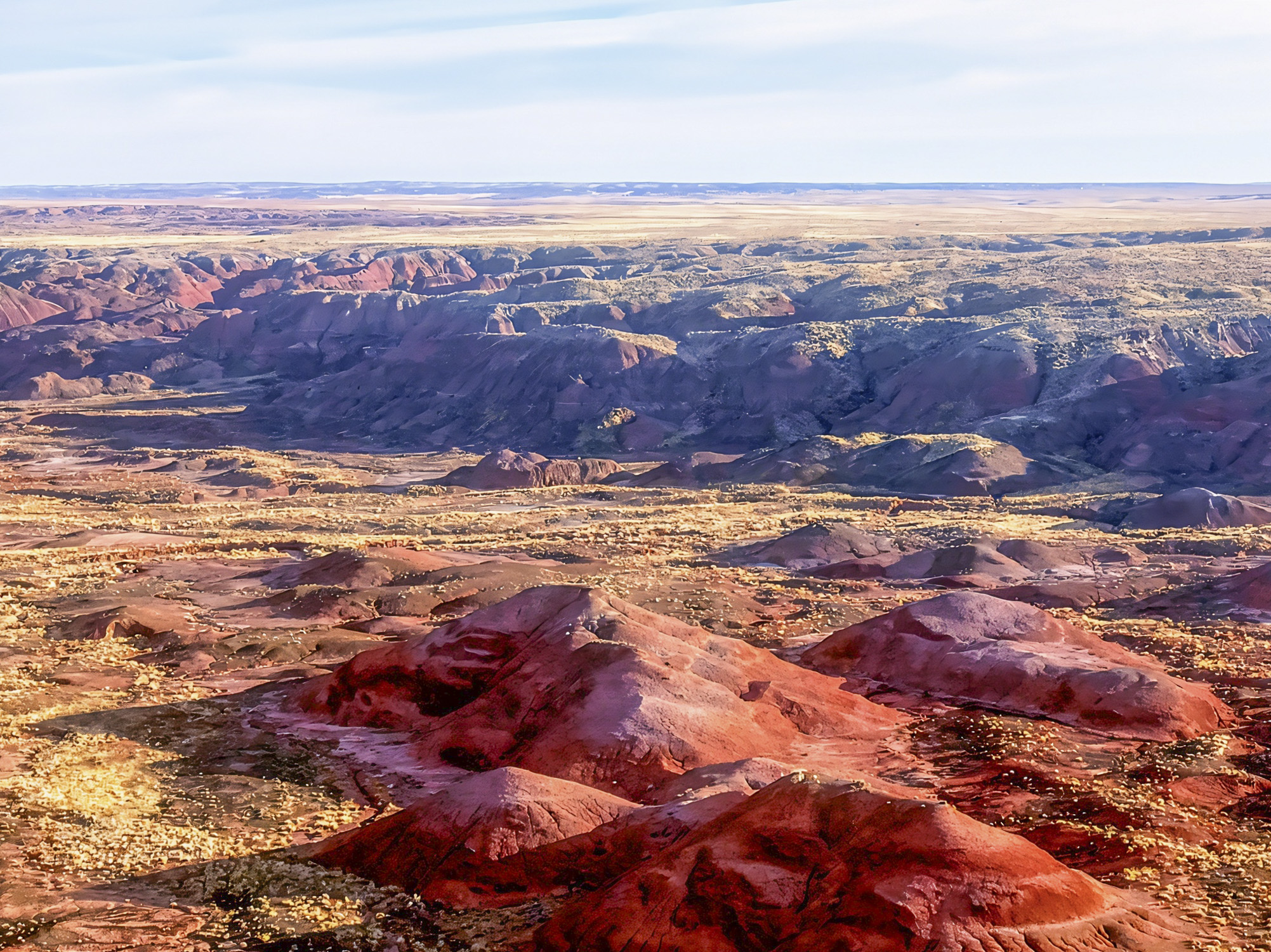 Beyond the Colors: Discovering the Painted Desert | Petrified Forest