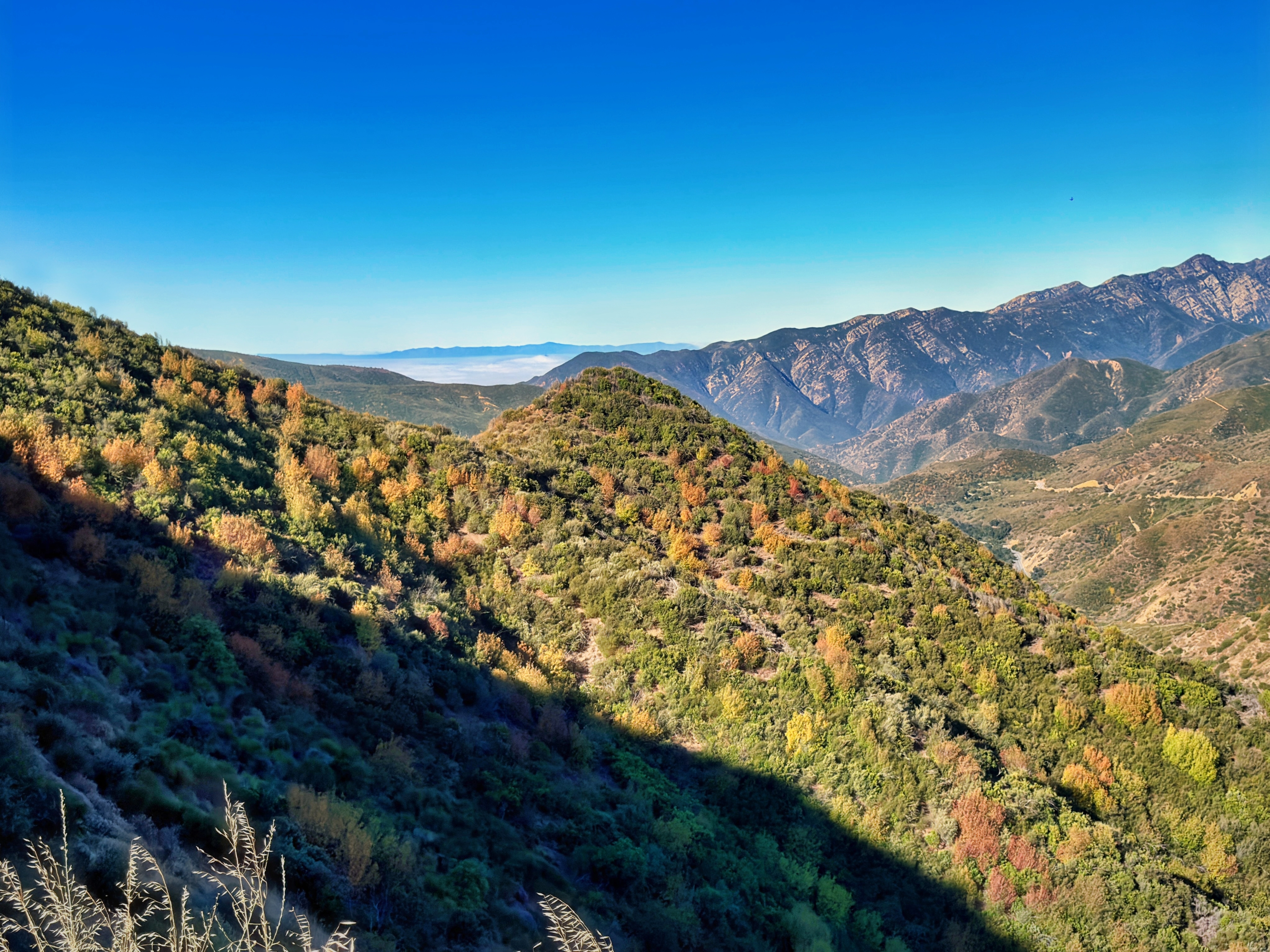 Exploring the Jacinto Reyes Scenic Byway | Los Padres National Forest Along CA-33