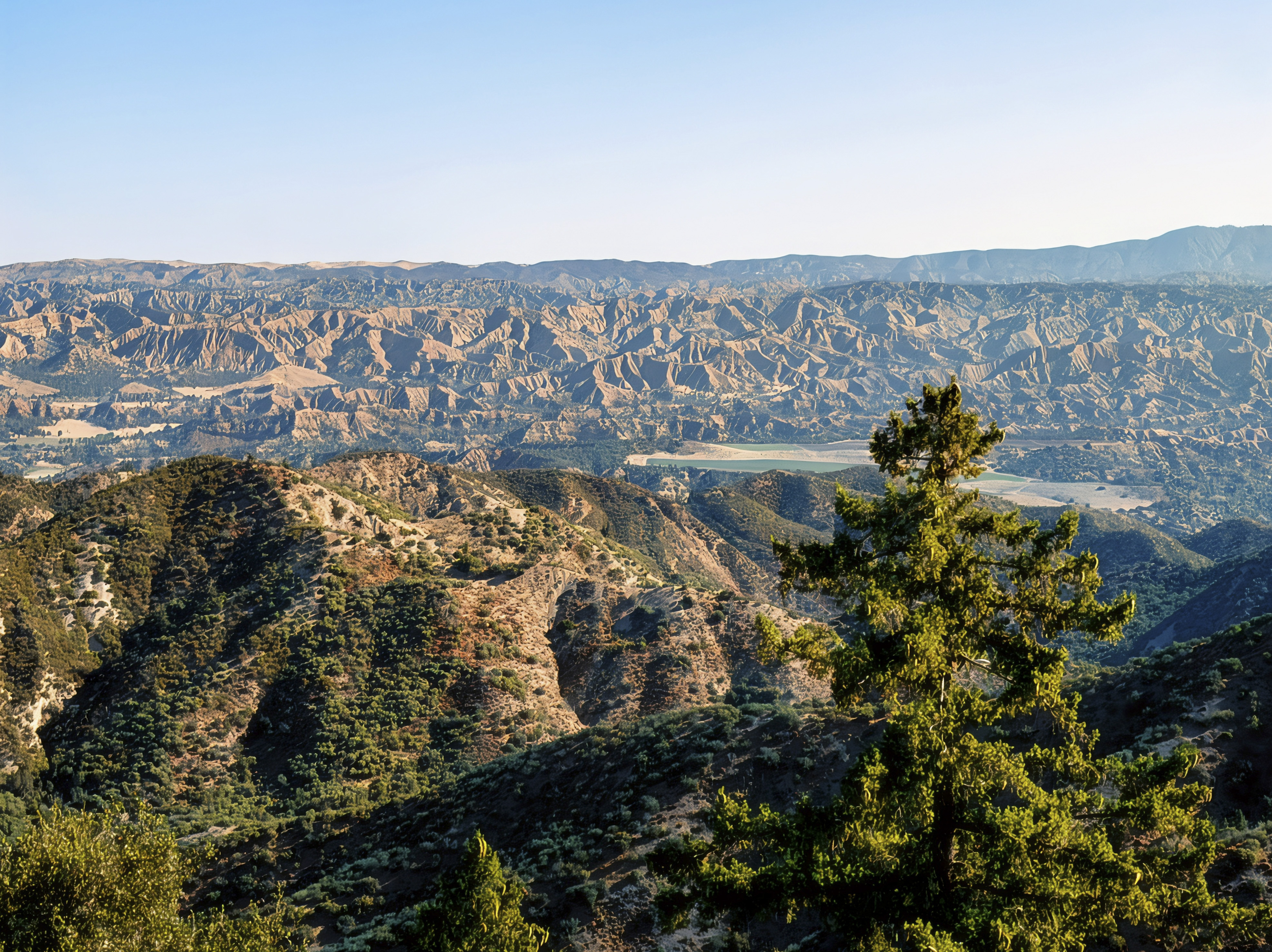 Pine Mountain: Gateway to the Cuyama Badlands | California