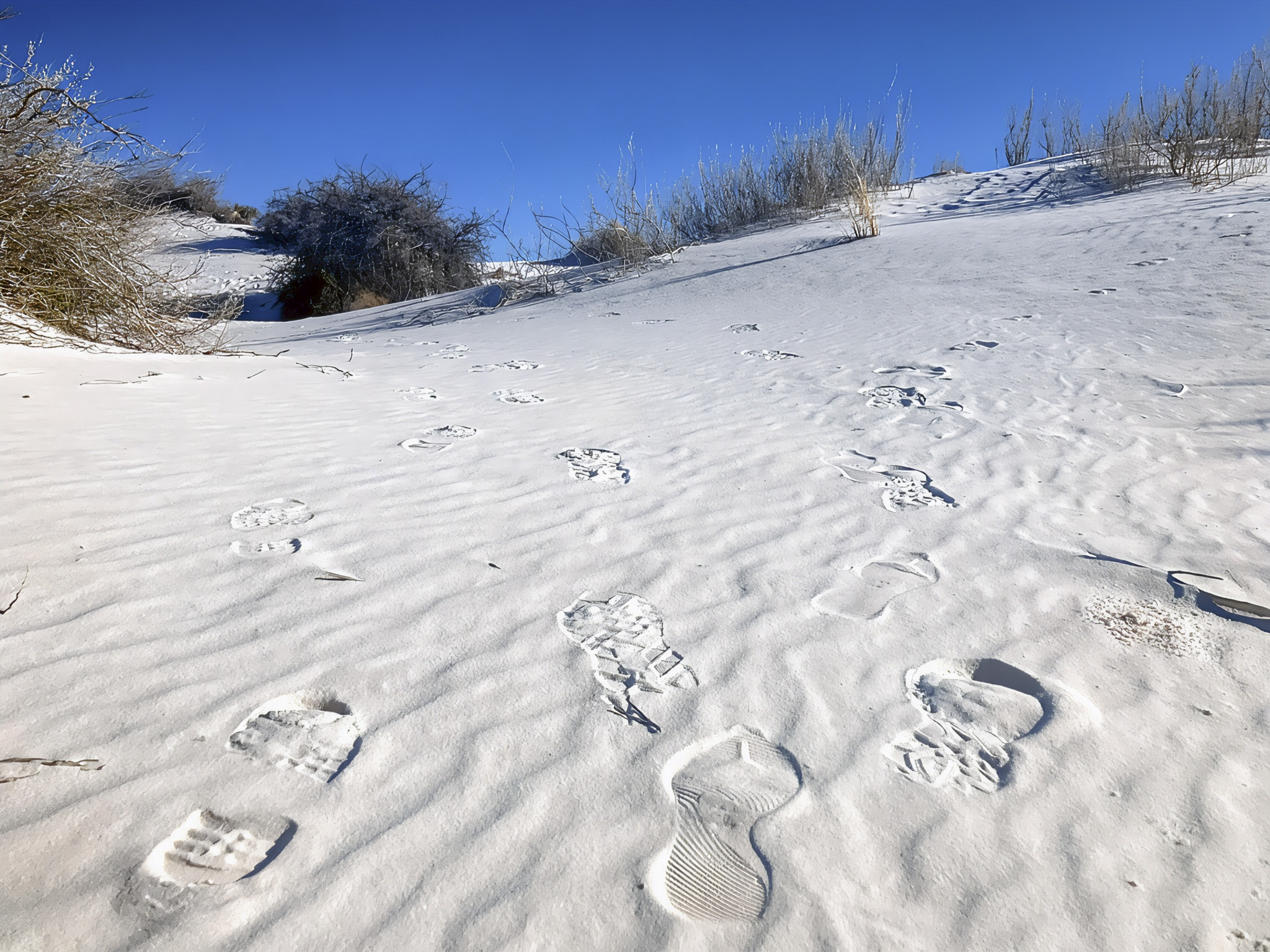 Exploring the Interdune Boardwalk at White Sands National Park | New Mexico