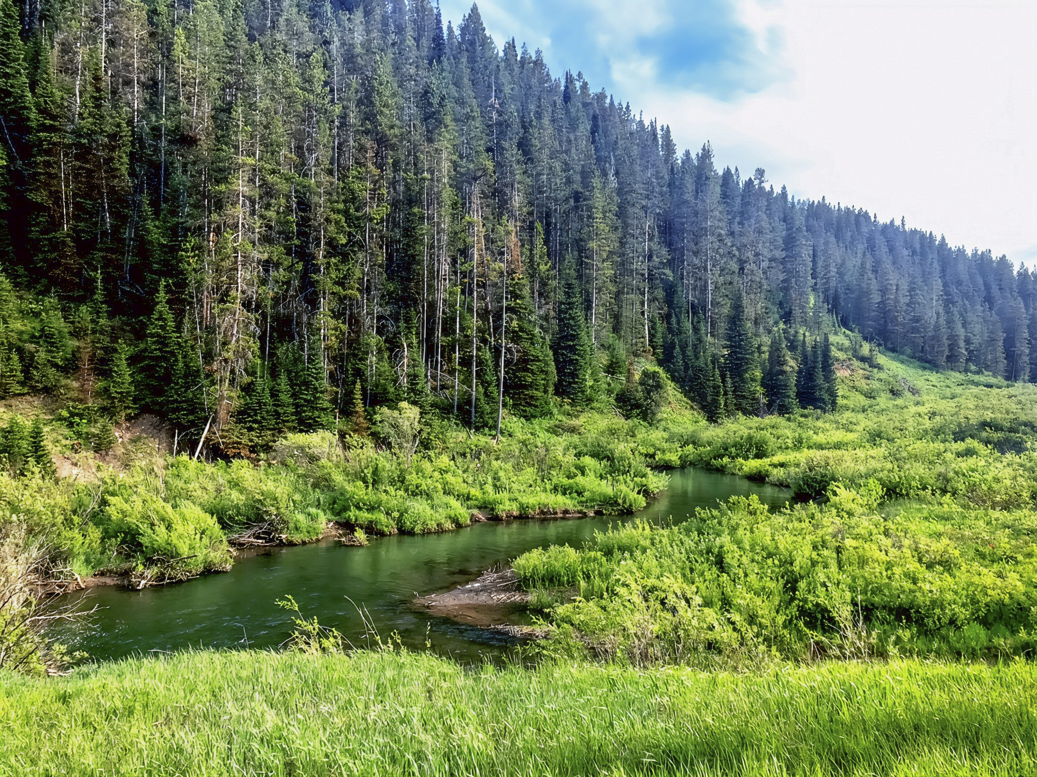 Exploring Tincup Creek: A Hidden Natural Gem in Southeastern Idaho