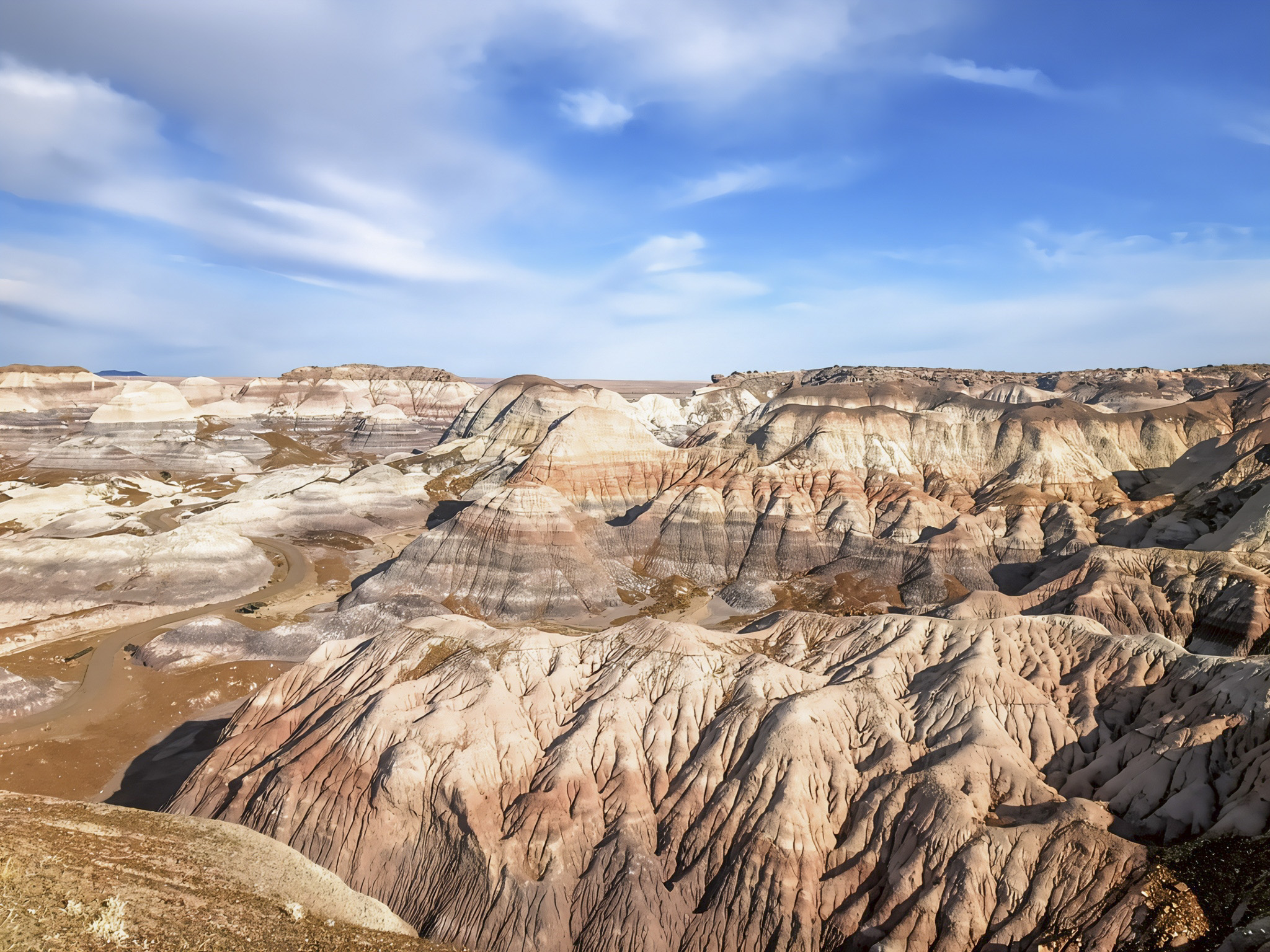 Blue Mesa’s Otherworldly Hills and Prehistoric Secrets | Petrified Forest