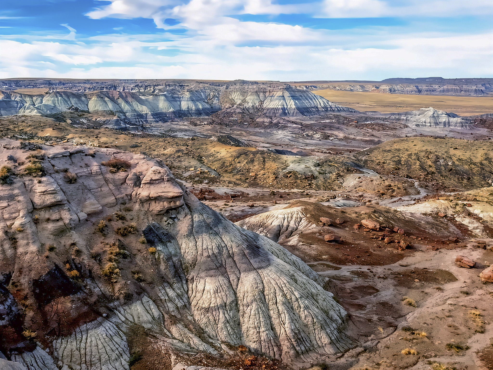 Jasper Forest Overlook: A Window Into the Triassic World | Petrified Forest